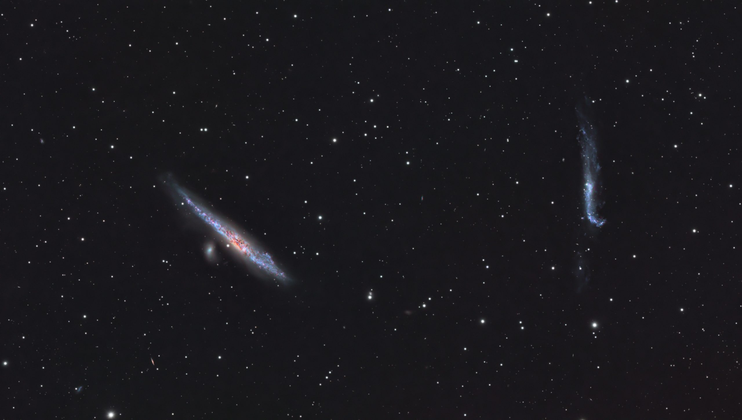 Caldwell 32 Whale and the Hockey Stick NGC4631 NGC4656