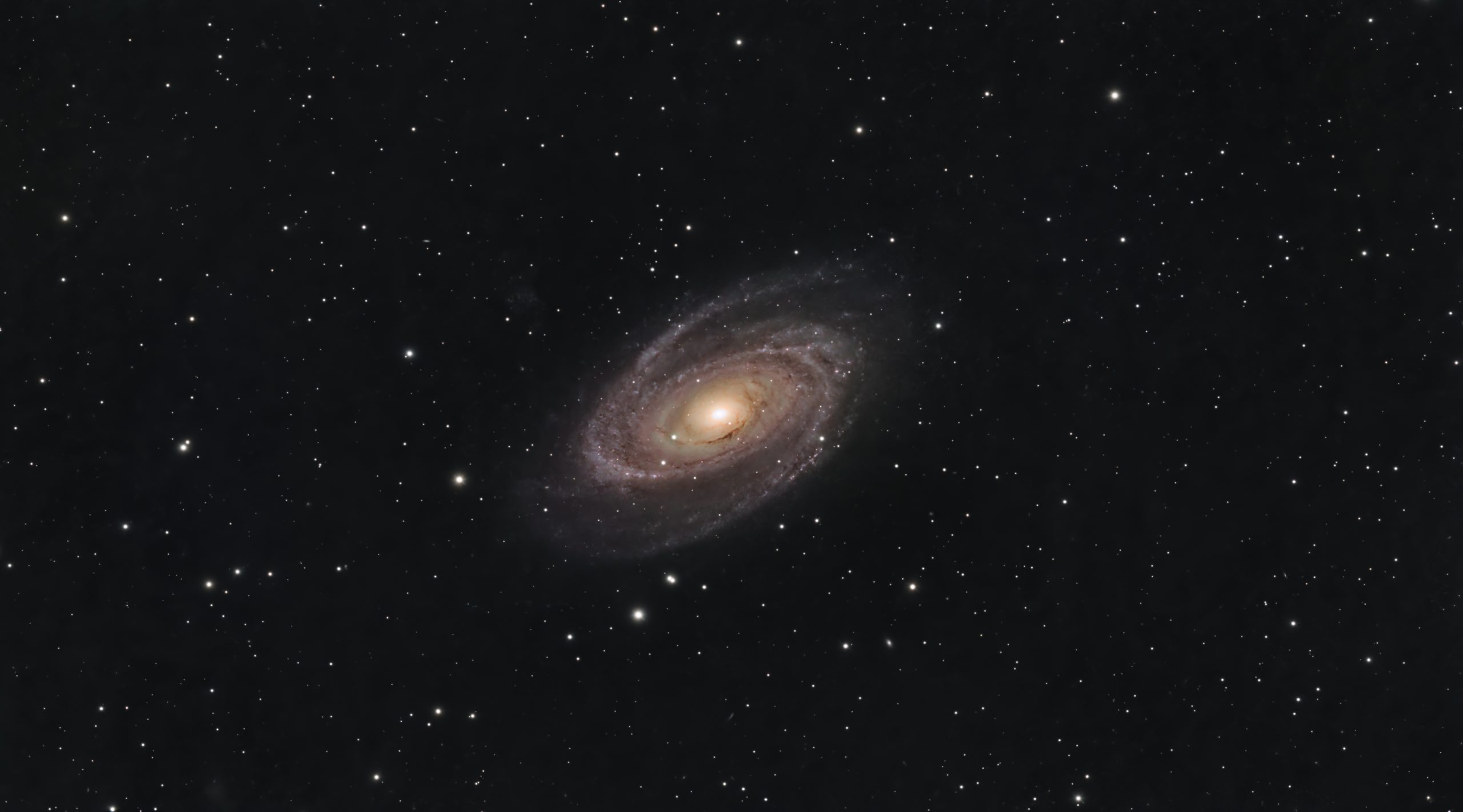 M81 Bodes Galaxy
